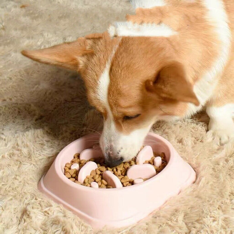 Slow Feeder Dog Bowl for Better Digestion