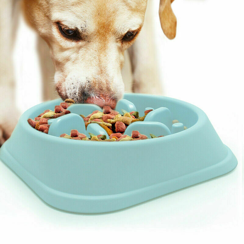 Slow Feeder Dog Bowl for Better Digestion