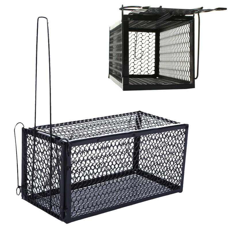 Pack of 2 Humane Rat Catchers